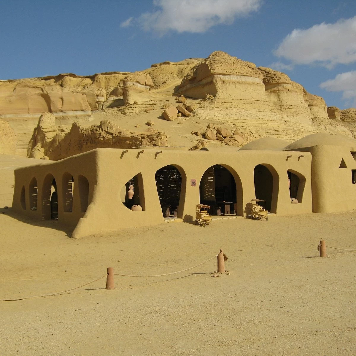 Discover Wadi al-Hitan in your day tour from Cairo