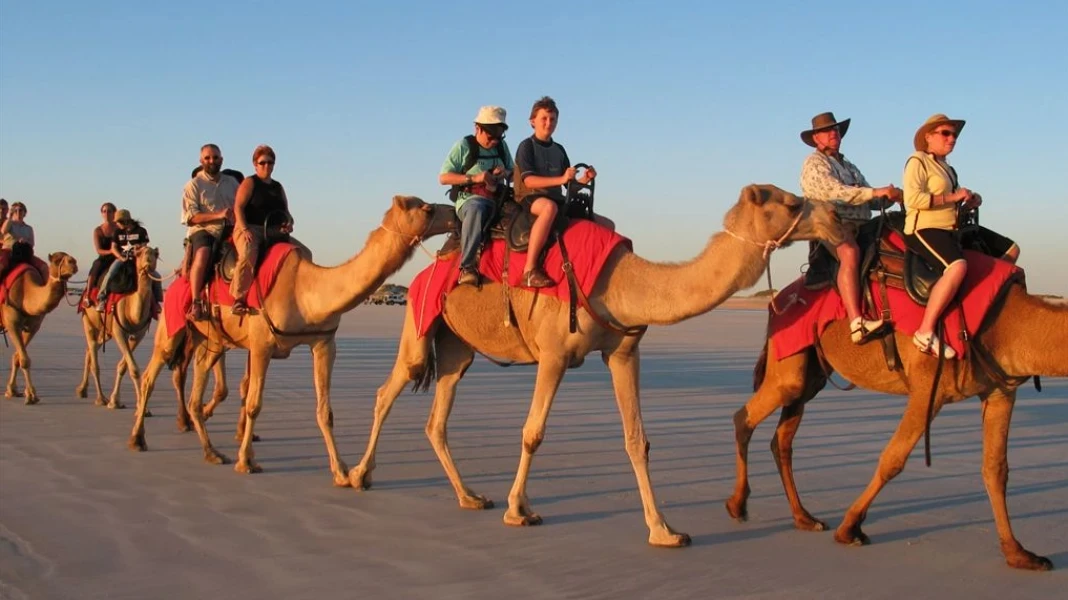 Luxor Safari by Camel Ride | West Bank Desert Adventure | West Bank Desert Adventure