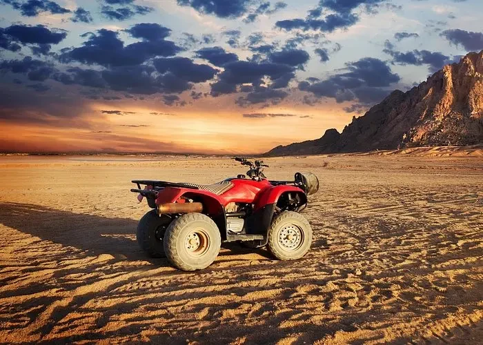 Egypt Desert Safari Tours