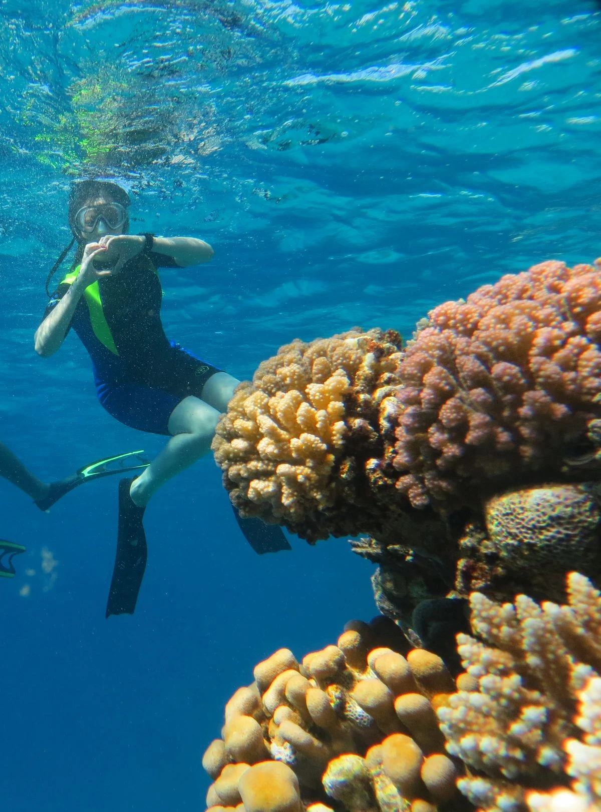 Sharm El Sheikh Shore Excursion 7 Days