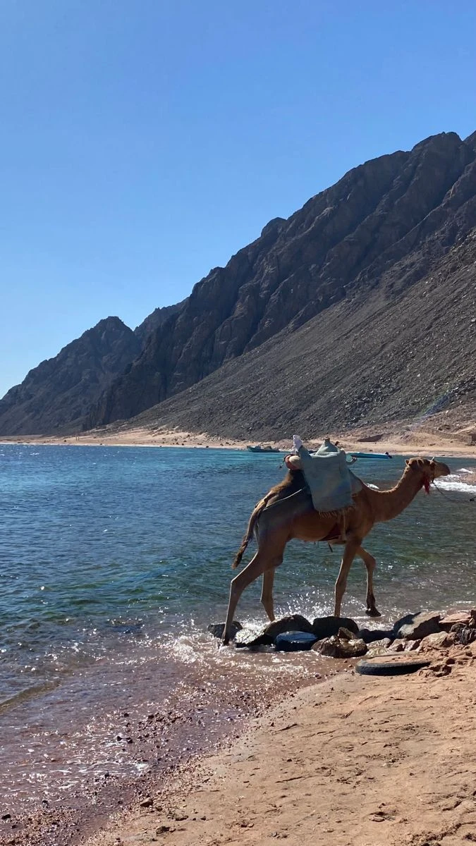 Dahab tour from Sharm El Sheikh