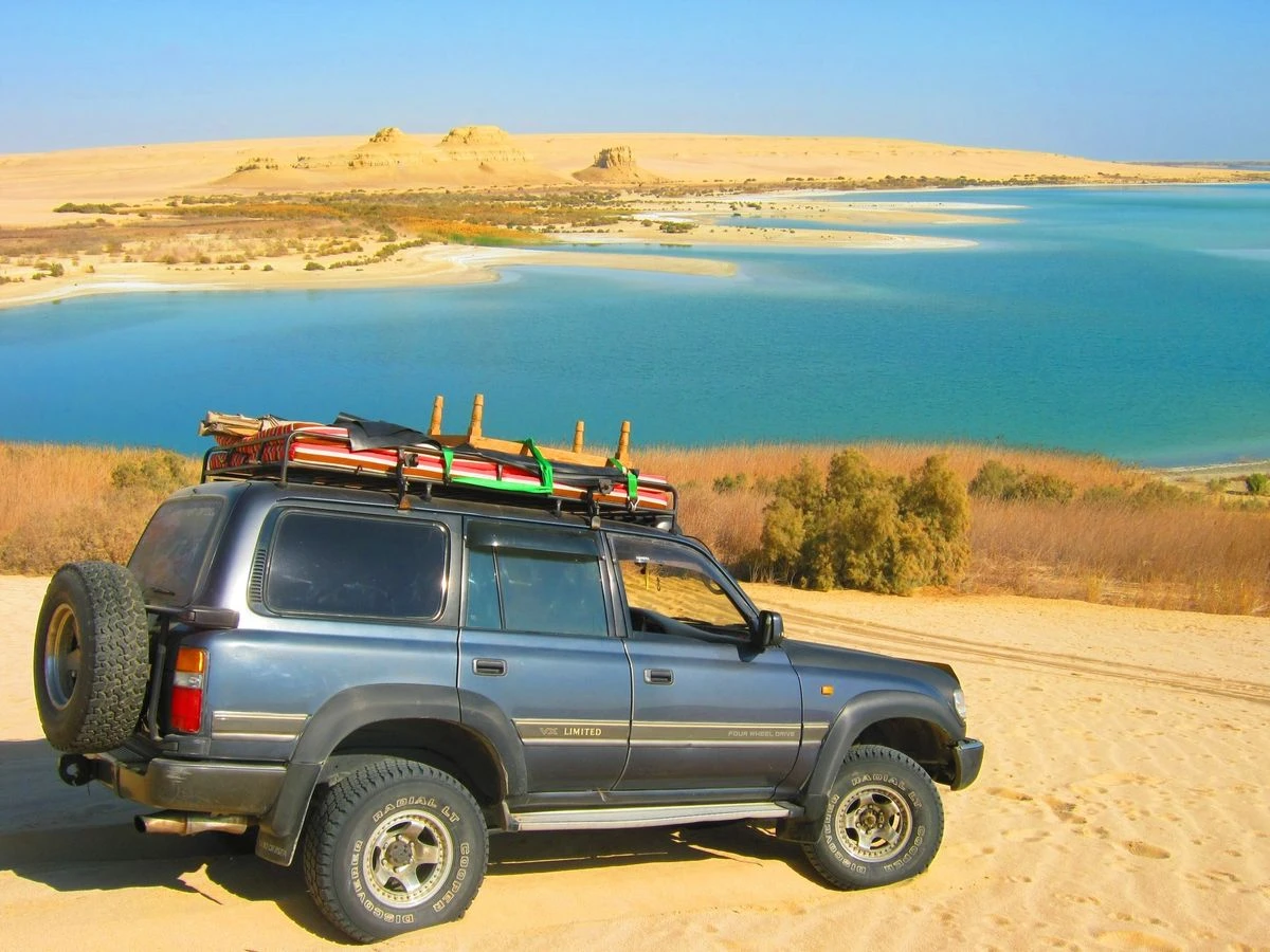 Christmas Fayoum Desert Safari from Cairo