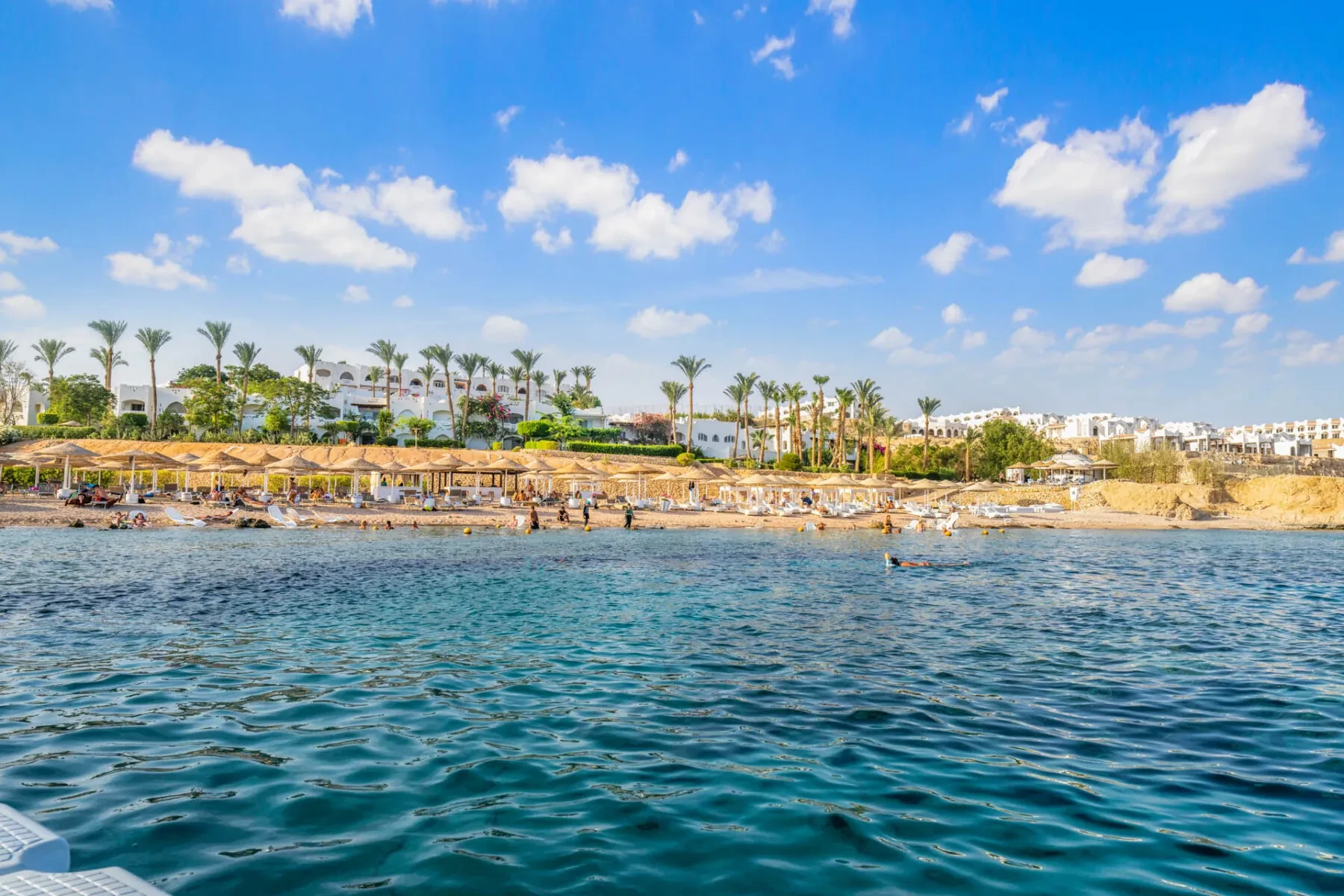 Best Things to do in Sharm El Sheikh at Christmas