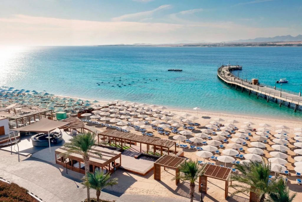 SRNTY Sahl Hasheesh - 5