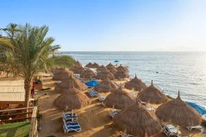 Pickalbatros Golf Luxury Suites – All Inclusive | Hotels in Sinai - 6