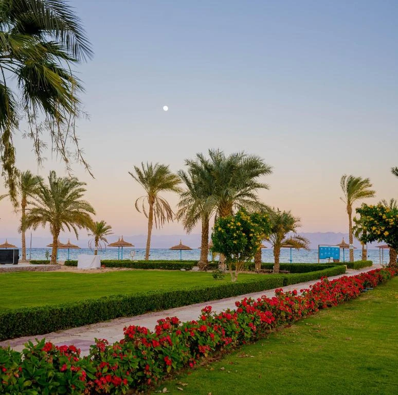Fiord Club Resort & Spa Nuweiba - 7