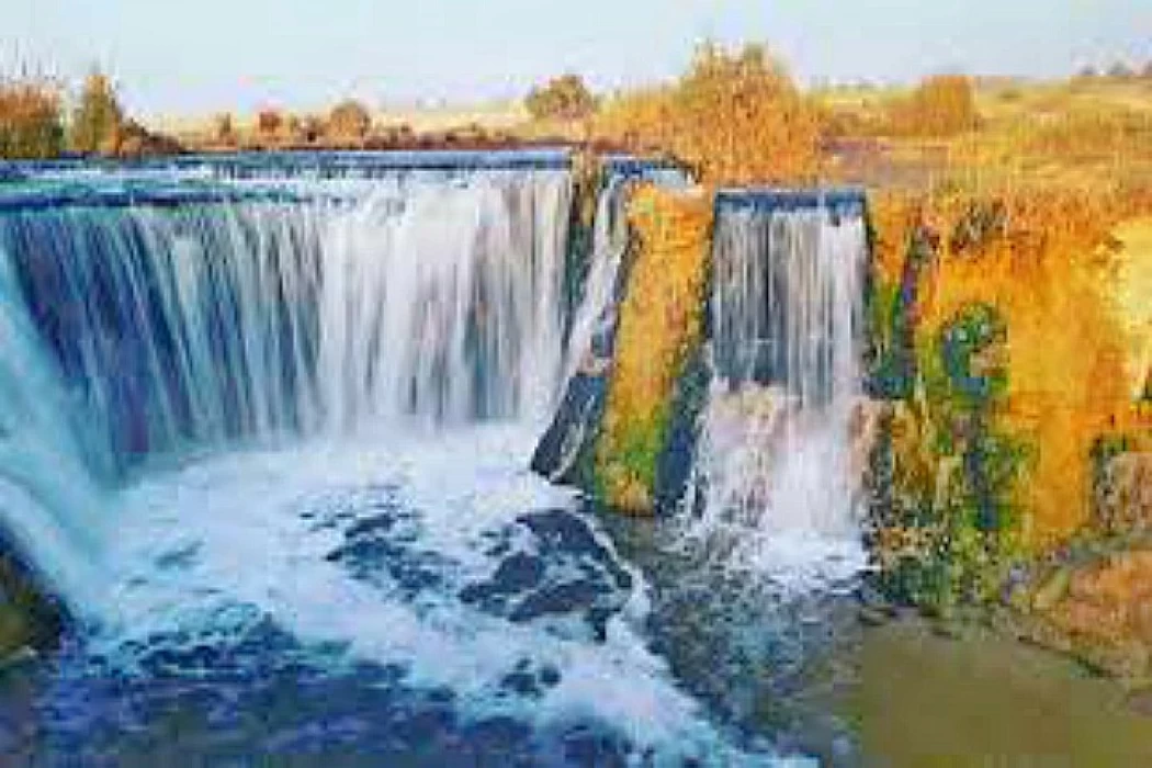 Visitors enjoying nature and desert scenery at Wadi El Rayan
