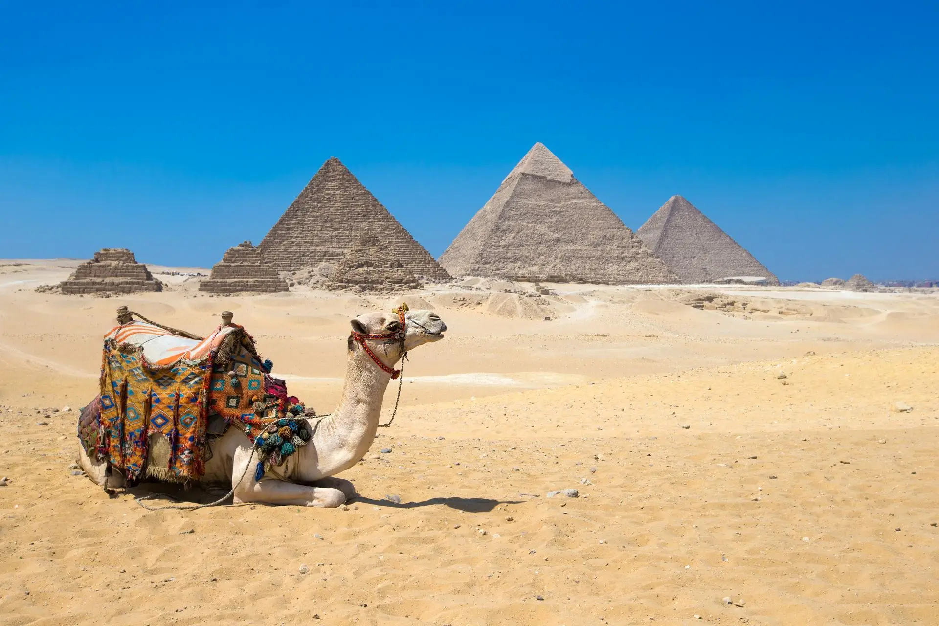 The Giza Pyramids