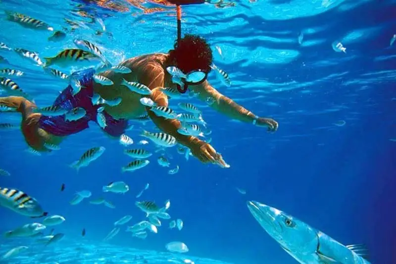 Abu Galum Snorkeling in the Red Sea